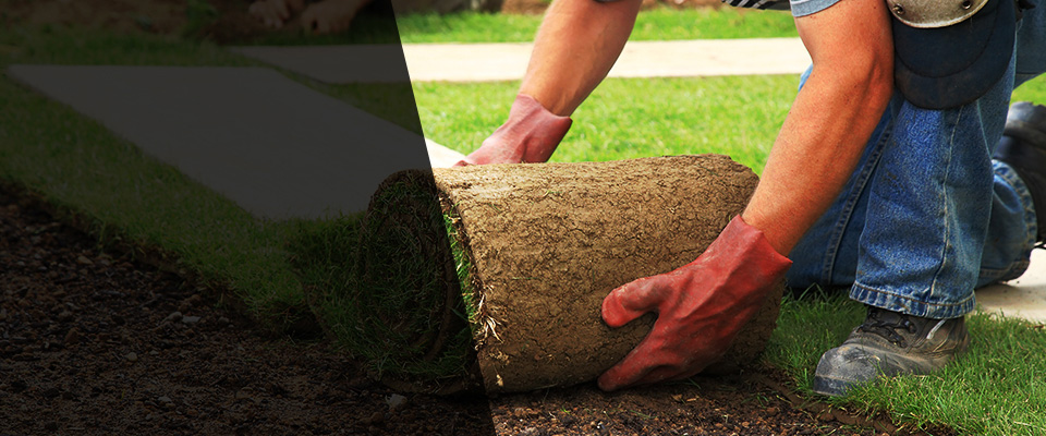 Fort Mohave Landscapers